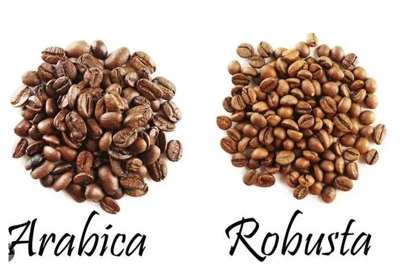 Specialty Graded Arabica & Robusta Coffee Selections