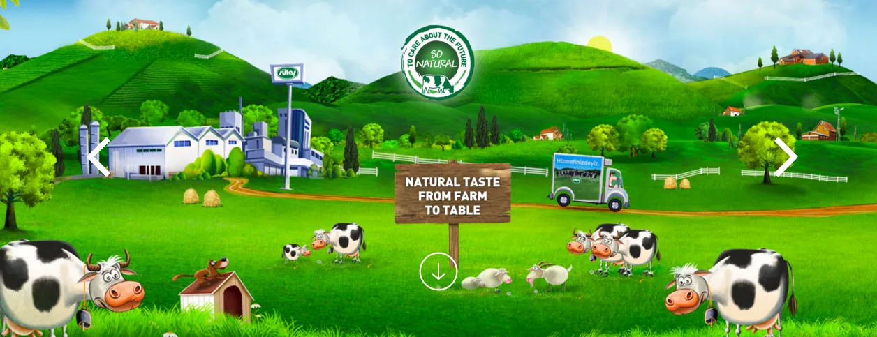 Turkish Origin Staple Food & Pulses Export Goods Model 19 — Food, Pulses & Fast-Moving Consumer Goods | COIDET & ATC