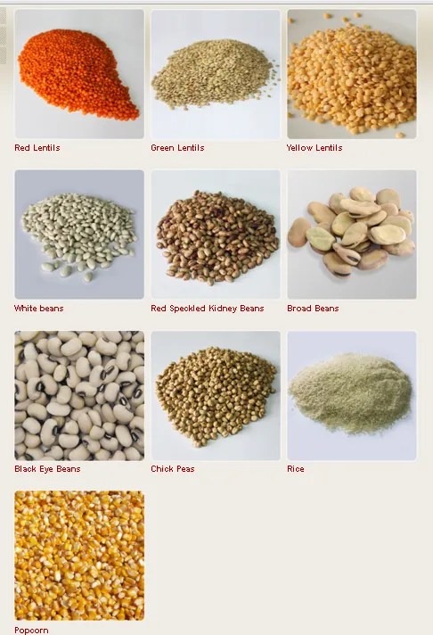 Turkish Origin Staple Food & Pulses Export Goods Model 23 — Food, Pulses & Fast-Moving Consumer Goods | COIDET & ATC