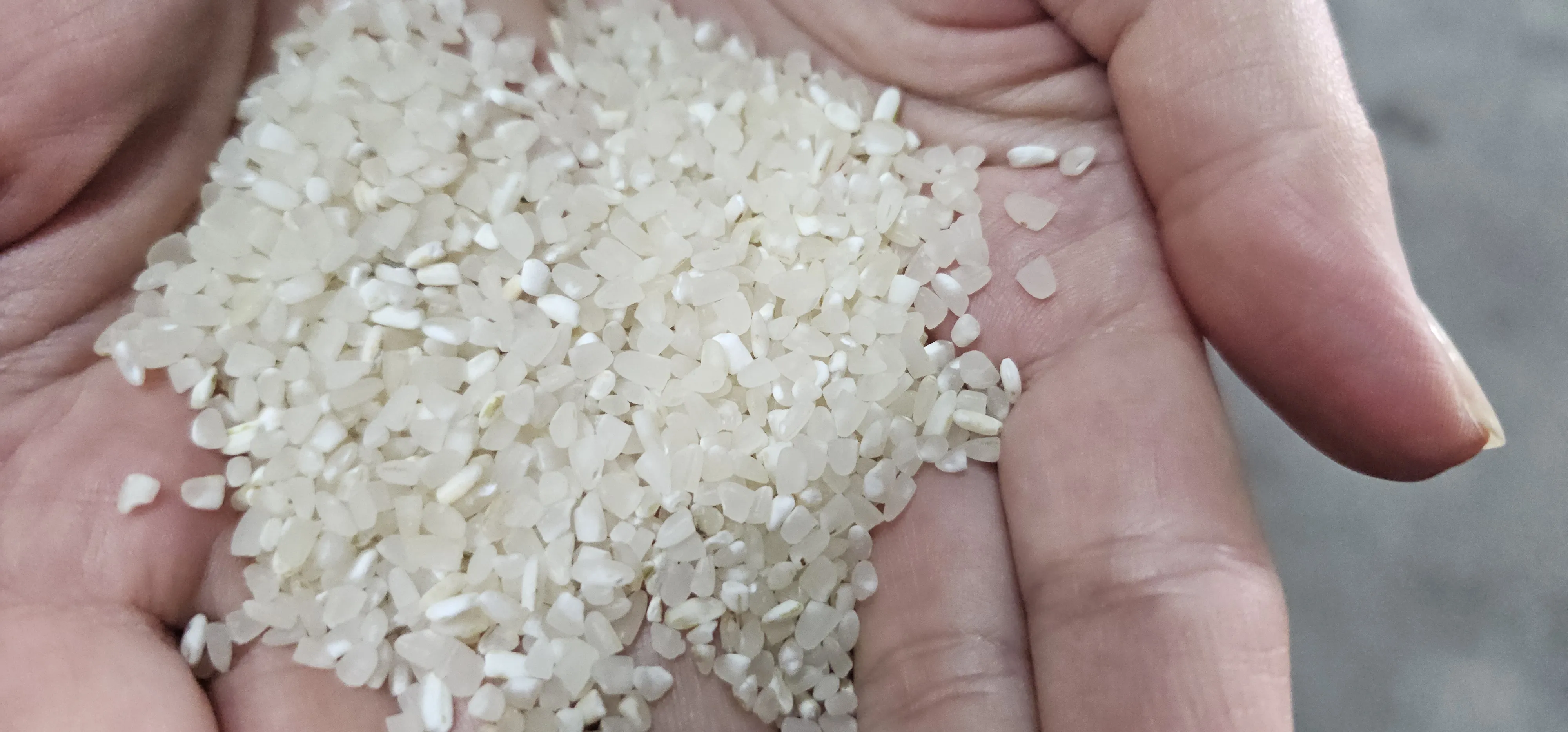 Turkish Origin Staple Food & Pulses Export Goods Model 46 — Food, Pulses & Fast-Moving Consumer Goods | COIDET & ATC