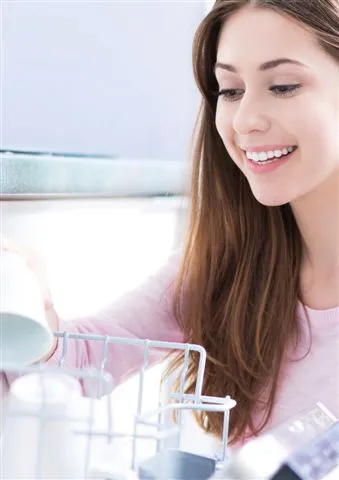 A++ Multi-Program Export Dishwasher Model 30 — Major Appliances, Refrigeration & Consumer Electronics | COIDET & ATC