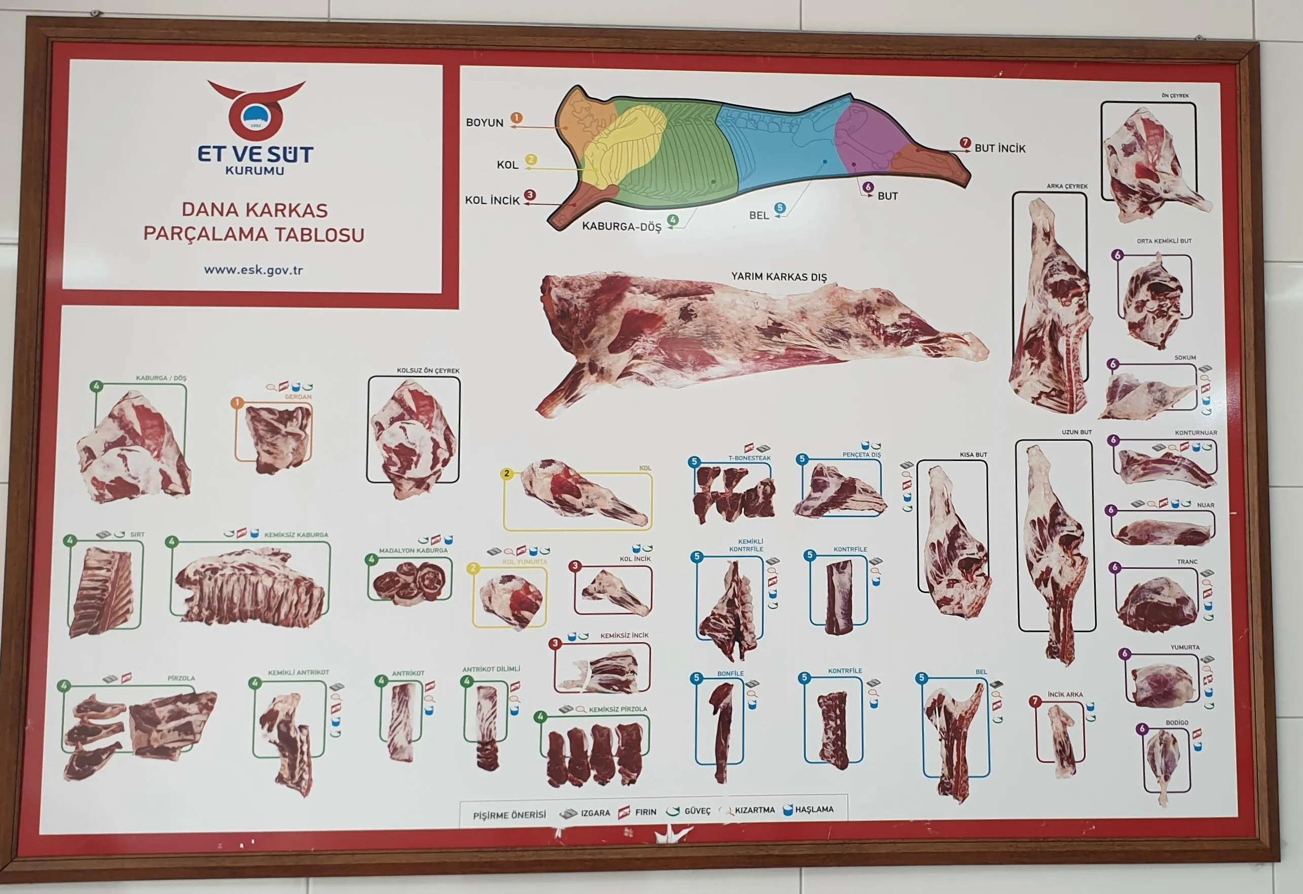 Frozen Halal Beef & Lamb Carcasses & Primal Cuts Model 2 — Fresh & Frozen Meat, Poultry, Turkey & Dairy Products | COIDET & ATC