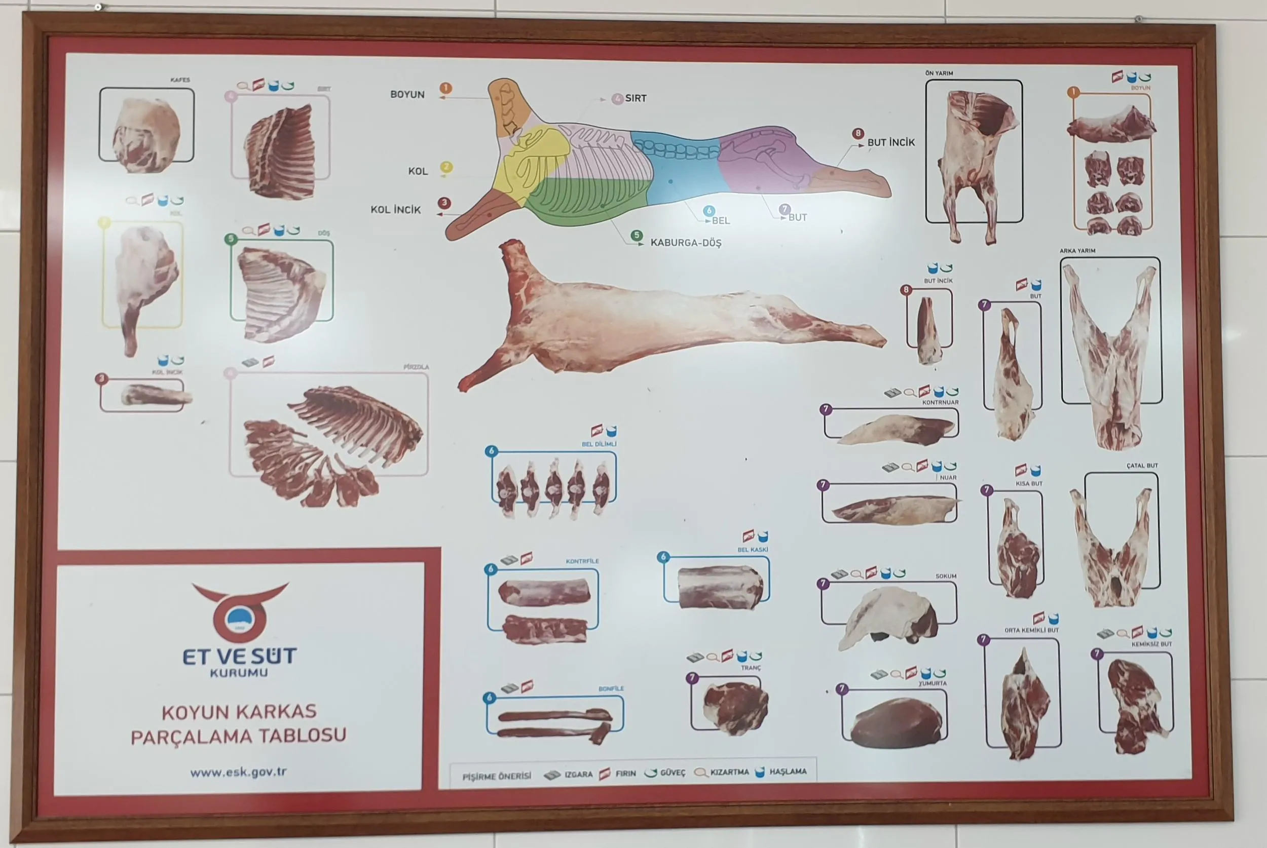Frozen Halal Beef & Lamb Carcasses & Primal Cuts Model 7 — Fresh & Frozen Meat, Poultry, Turkey & Dairy Products | COIDET & ATC