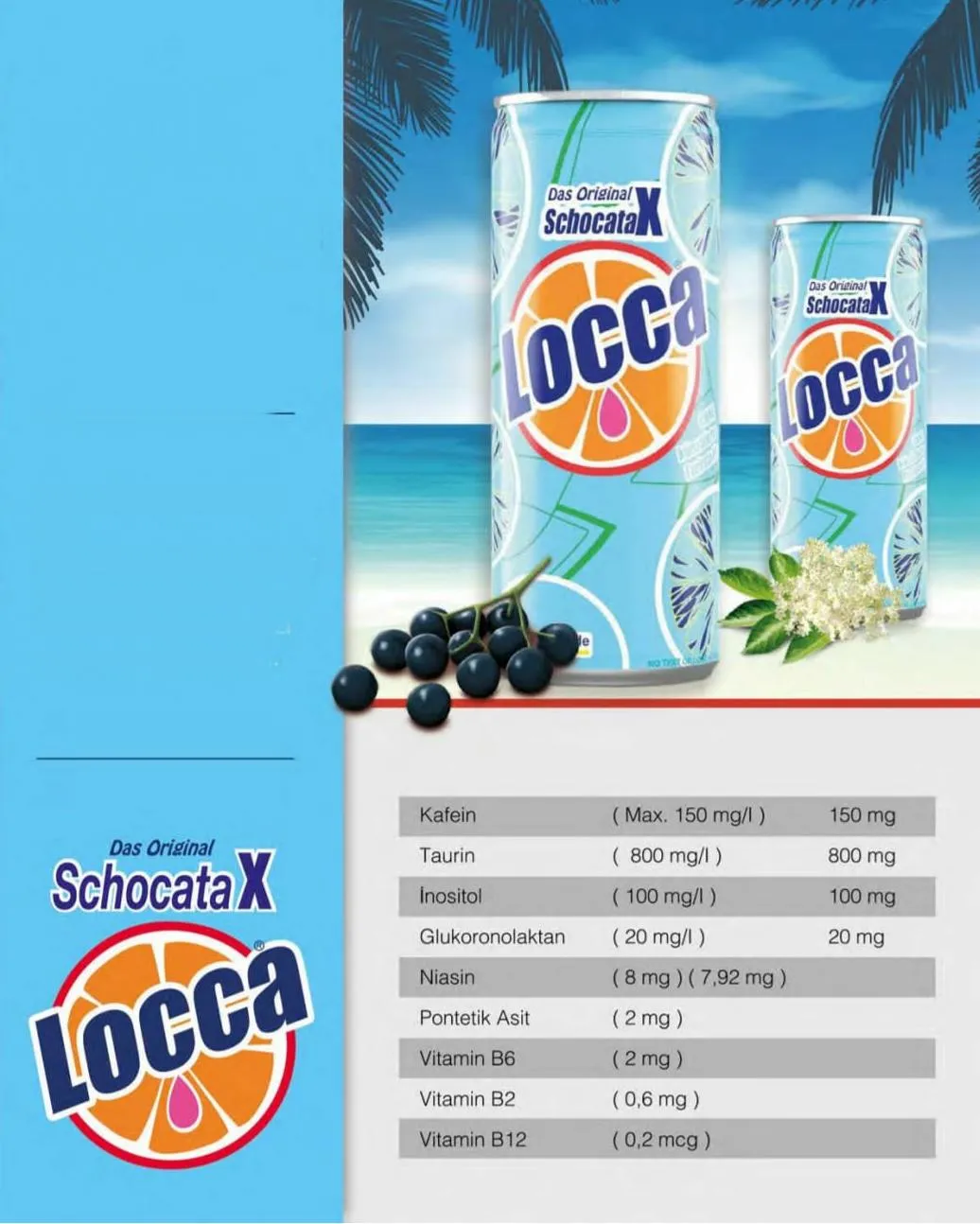 Locca & Full Fruit Carbonated Soft Drink & Energy Drink (250ml) Model 37 — Food, Pulses & Fast-Moving Consumer Goods | COIDET & ATC