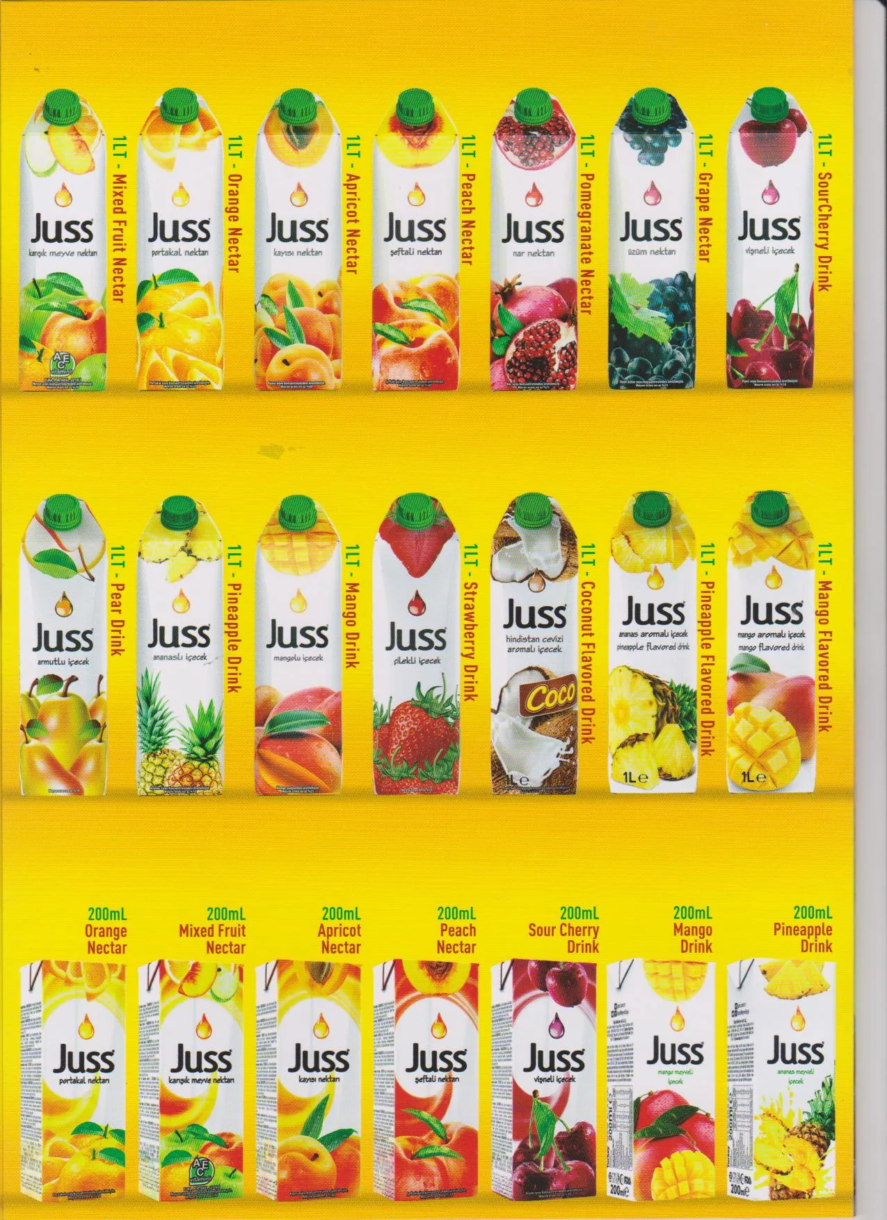 Turkish Origin Staple Food & Pulses Export Goods Model 66 — Food, Pulses & Fast-Moving Consumer Goods | COIDET & ATC