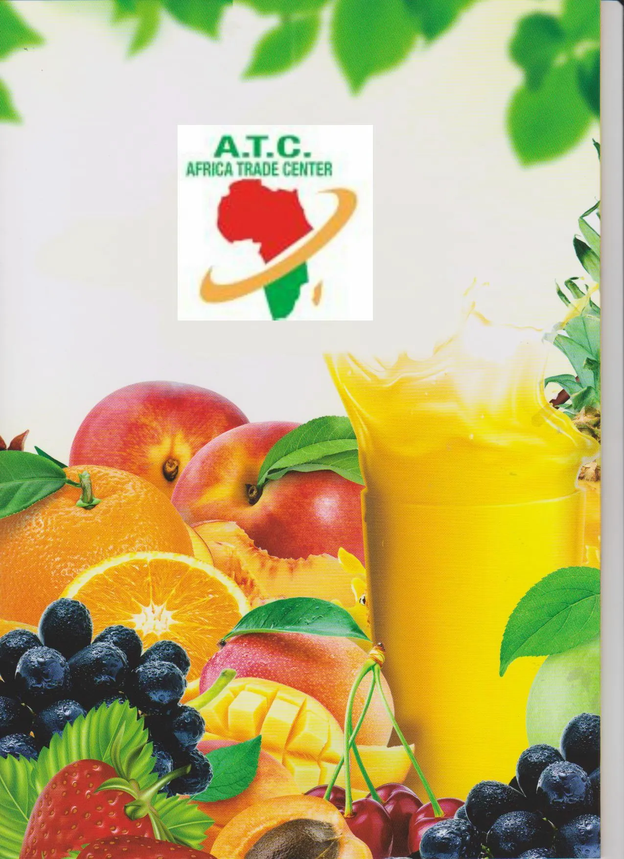 Turkish Origin Staple Food & Pulses Export Goods Model 39 — Food, Pulses & Fast-Moving Consumer Goods | COIDET & ATC