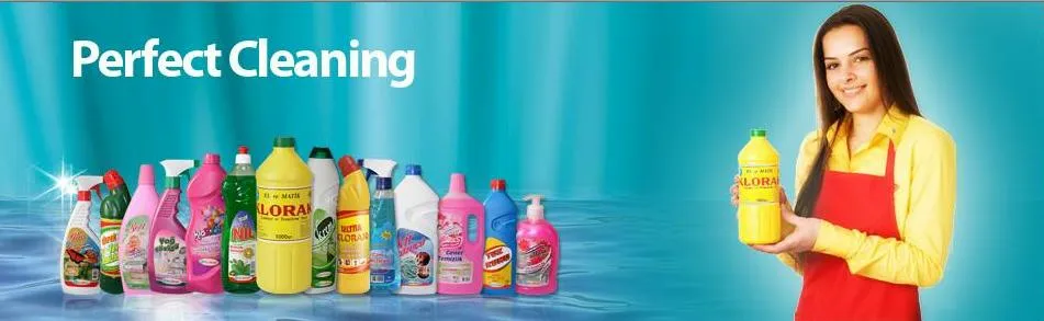 Industrial & Household Liquid Cleaning Hygiene Detergent Model 8 — Cleaning Products, Baby Diapers & Personal Care | COIDET & ATC