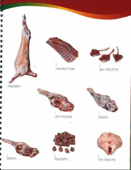 Frozen Halal Beef & Lamb Carcasses & Primal Cuts Model 8 — Fresh & Frozen Meat, Poultry, Turkey & Dairy Products | COIDET & ATC