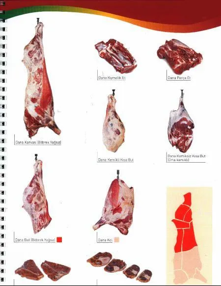 Frozen Halal Beef & Lamb Carcasses & Primal Cuts Model 3 — Fresh & Frozen Meat, Poultry, Turkey & Dairy Products | COIDET & ATC