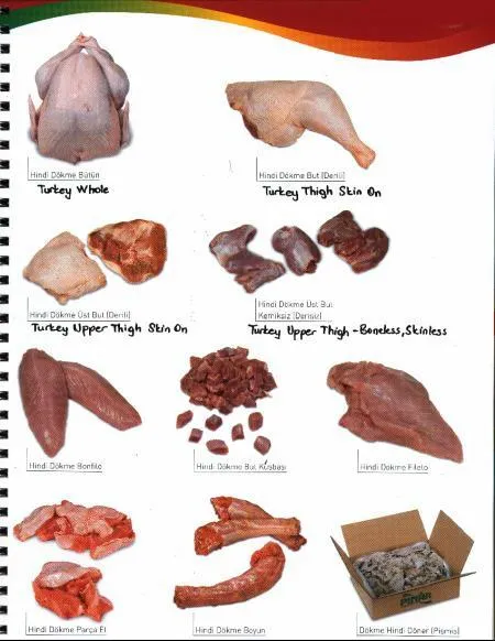 Frozen Halal Whole Turkey & Turkey Breast Meat Model 2 — Fresh & Frozen Meat, Poultry, Turkey & Dairy Products | COIDET & ATC