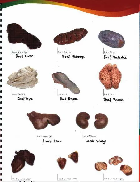 Frozen Halal Beef & Lamb Carcasses & Primal Cuts Model 5 — Fresh & Frozen Meat, Poultry, Turkey & Dairy Products | COIDET & ATC