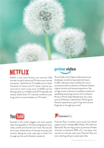 Ultra HD 4K Smart LED TV — Android TV Export Model 102 — Major Appliances, Refrigeration & Consumer Electronics | COIDET & ATC